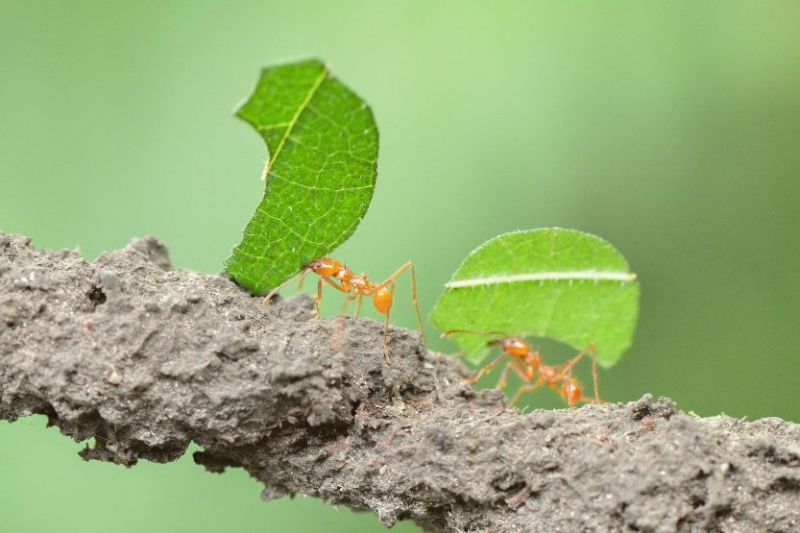 Read more about the article Como Construir Patrimônio com Disciplina e Poupança: Estratégias para Enriquecimento Sustentável